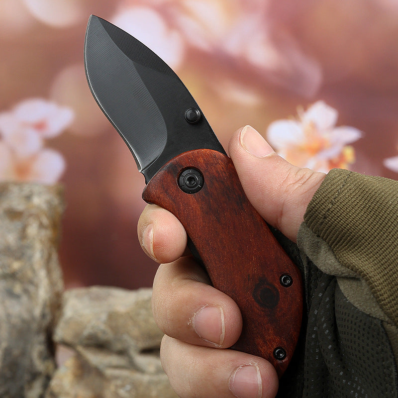 Portable Stainless Steel Folding Mini Fruit Knife Keychain Knife